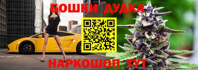стафф Новозыбков