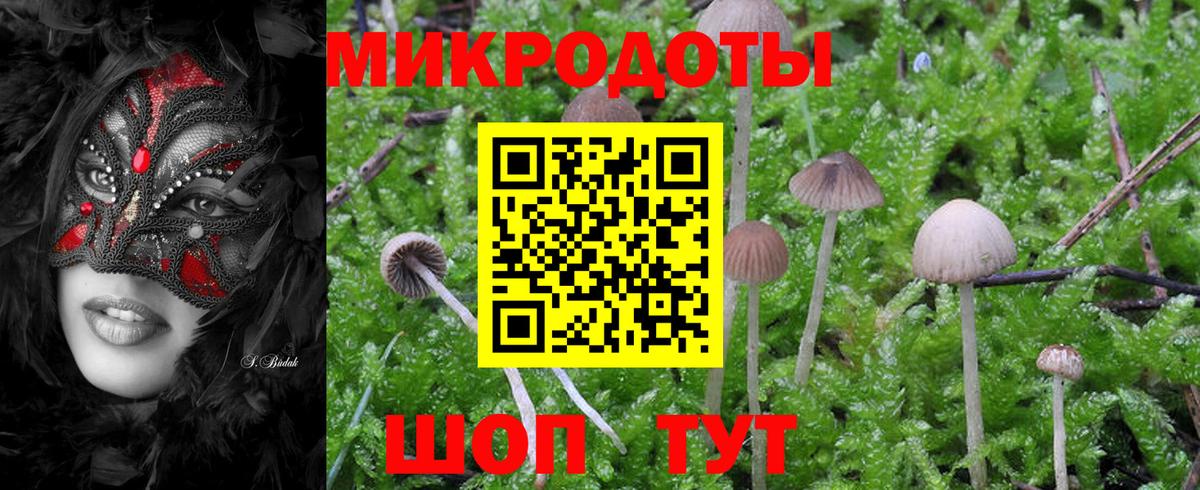 Галлюциногенные грибы Psilocybine cubensis  Вход с VPN  Торжок 