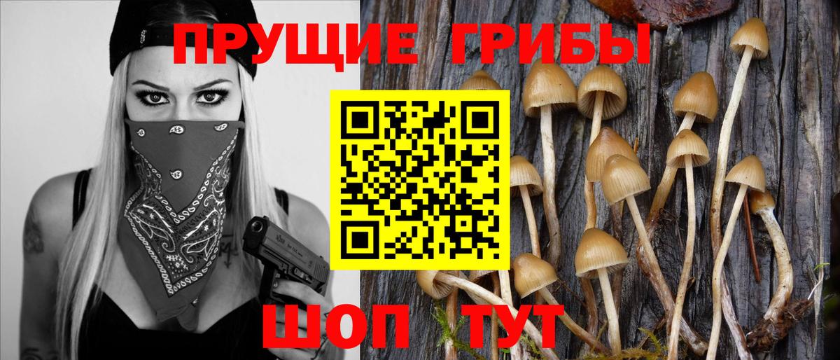 Галлюциногенные грибы Cubensis Торжок